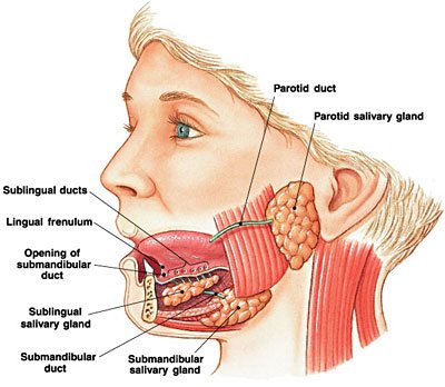 Ent Surgeon in judges bunglow